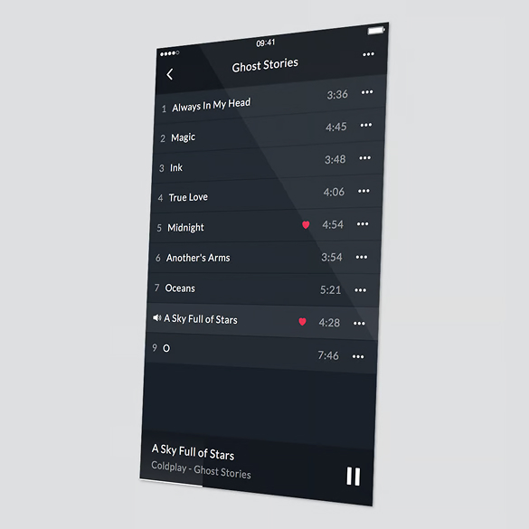 Product Gallery Image