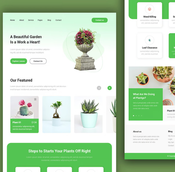 Product Gallery Image