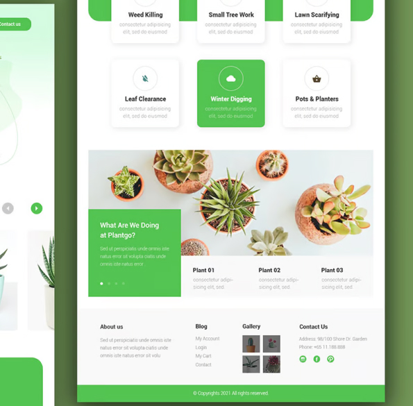 Product Gallery Image